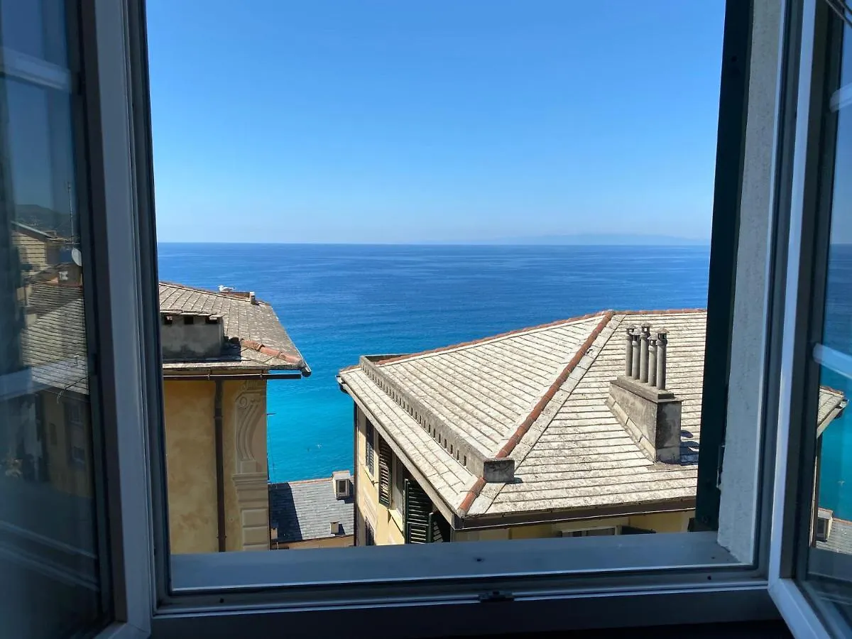 Camogli - 