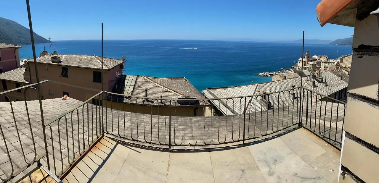 Camogli - 