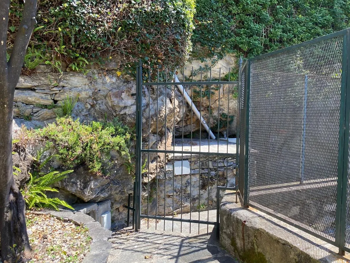Camogli - 