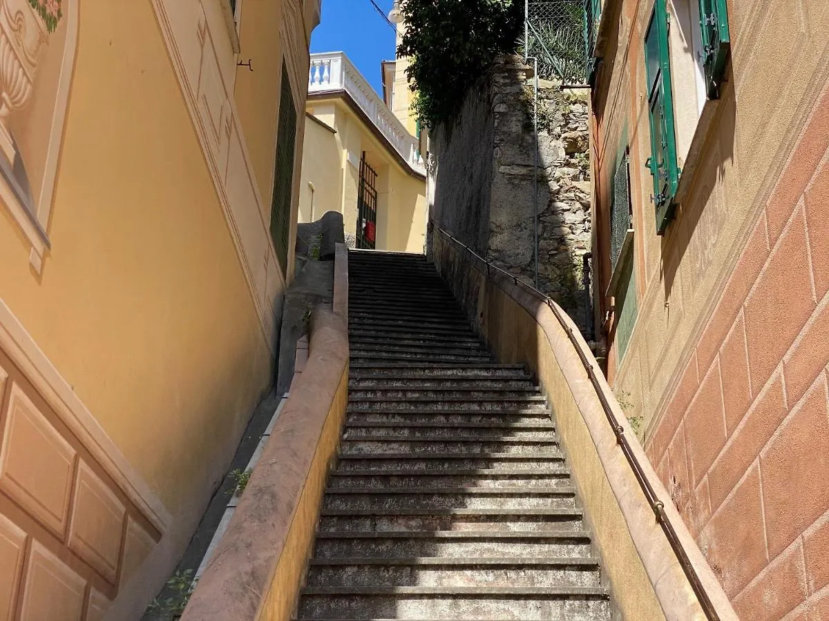 Camogli - 