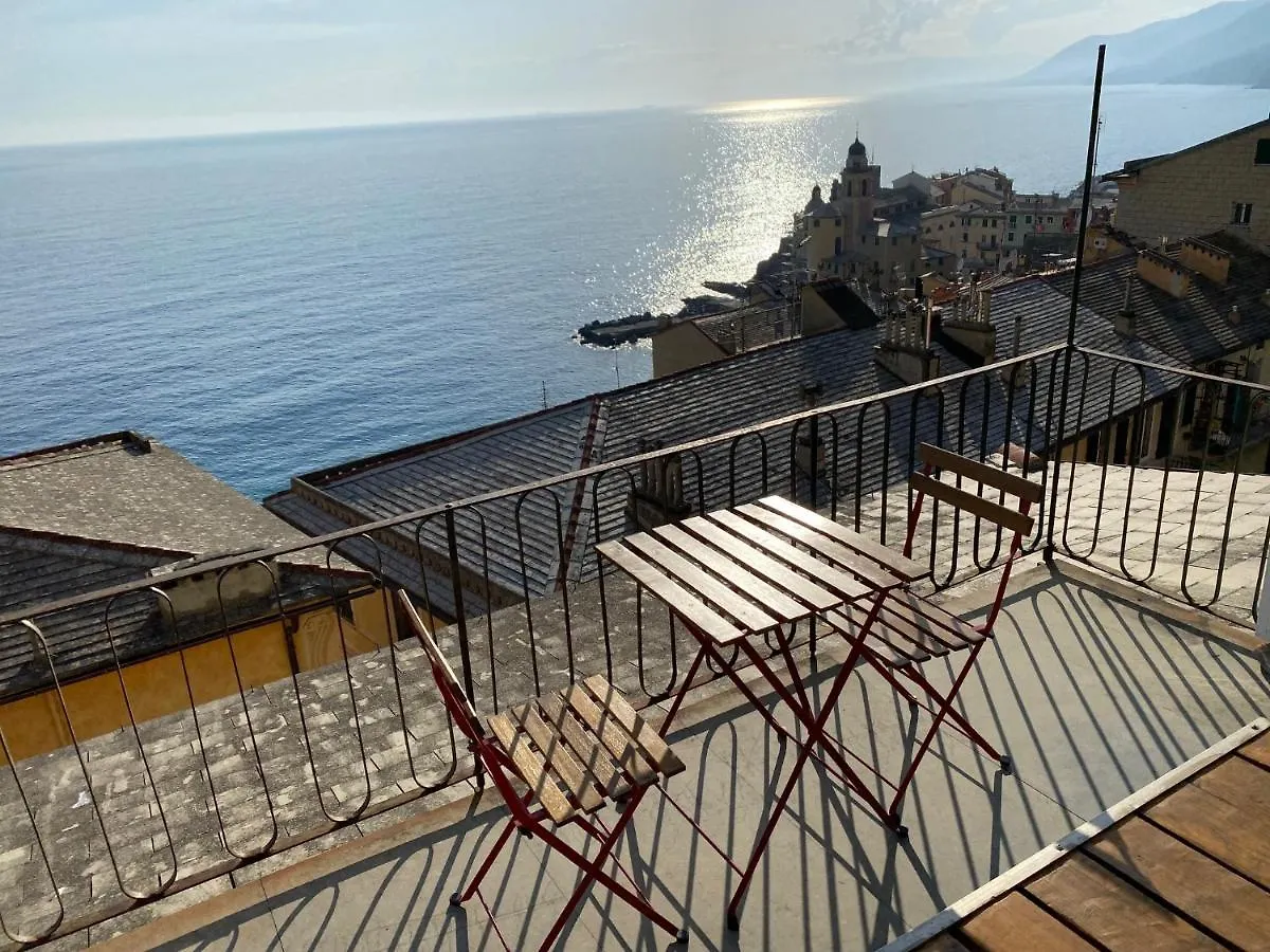 Camogli - 