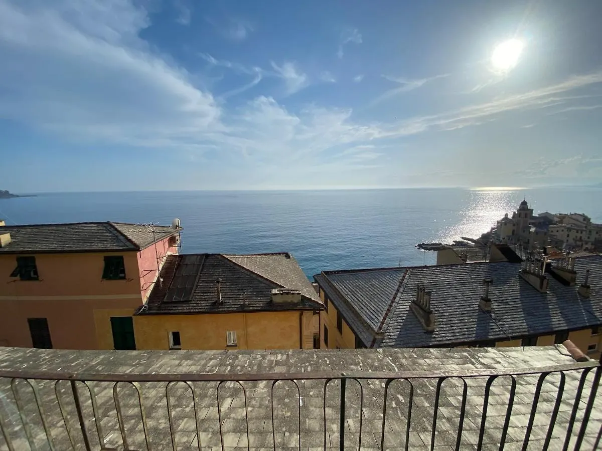 Camogli - 