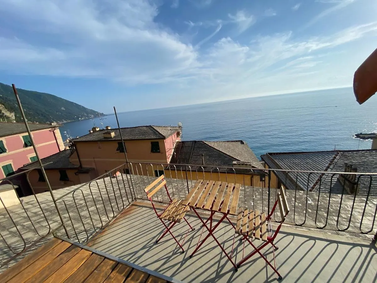 Camogli - 